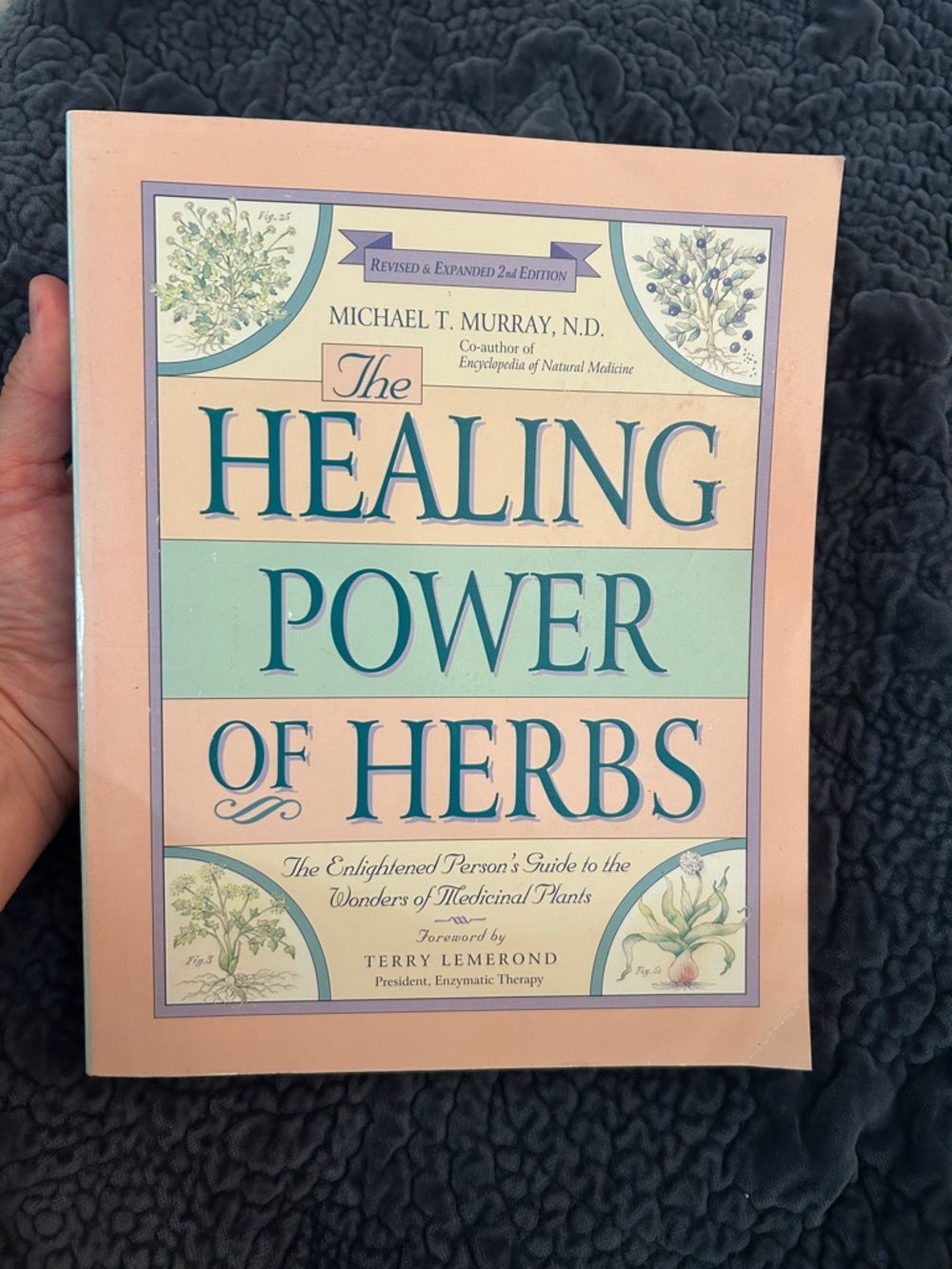 The Healing Power of Herbs by Michael T. Murray - Pastel Cover